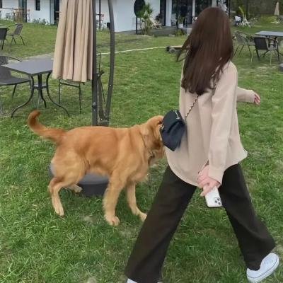 破碎的温柔